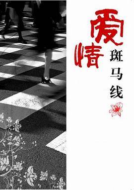 爱情斑马线HD