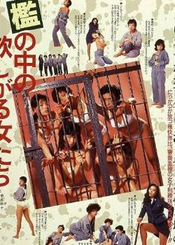 牢笼中饥渴的女人们完结