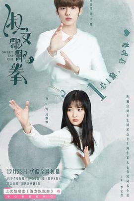淑女飘飘拳完结