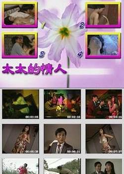 太太的情人台湾版完结
