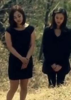两个妻子韩国版完结