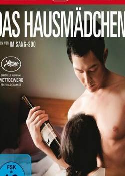 侍女2010完结