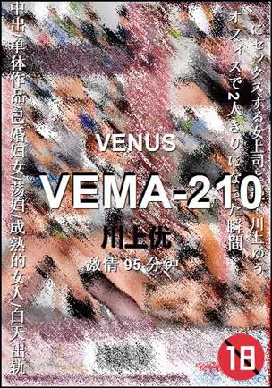 VEMA-21095 