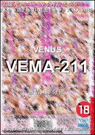 VEMA-211480 分钟