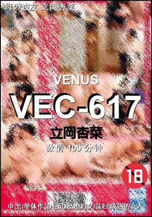 VEC-617100 