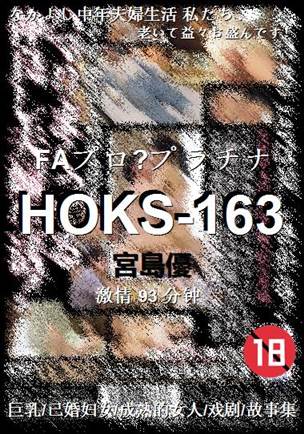 HOKS-16393 