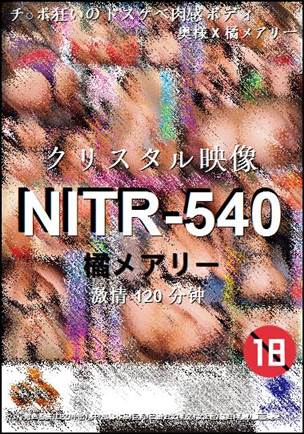 NITR-540120 