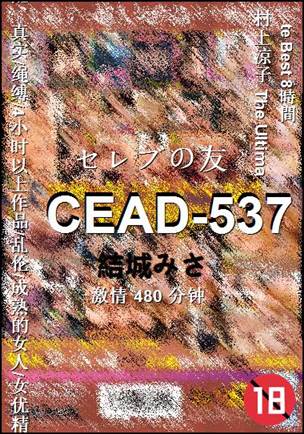 CEAD-537480 