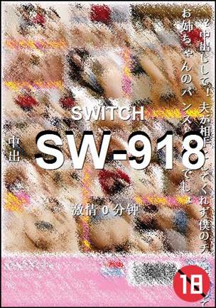 SW-9180 分钟