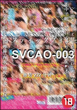 SVCAO-003222 
