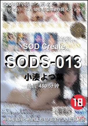 SODS-013480 
