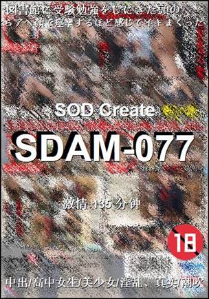 SDAM-077135 