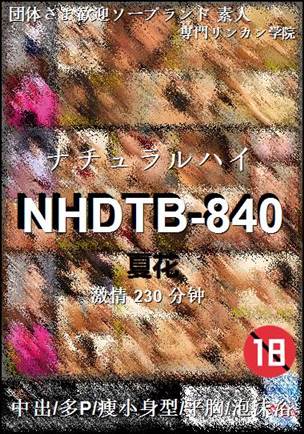 NHDTB-840230 分钟