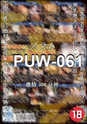 PUW-061300 