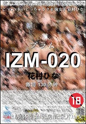 IZM-020130 分钟