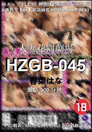 HZGB-045300 