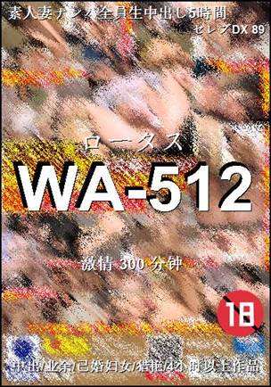 WA-512300 