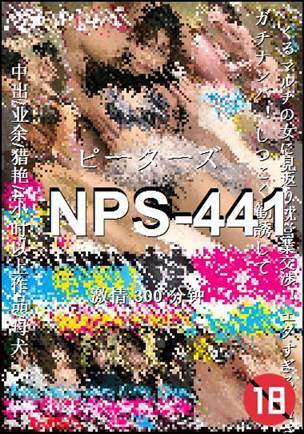 NPS-441300 