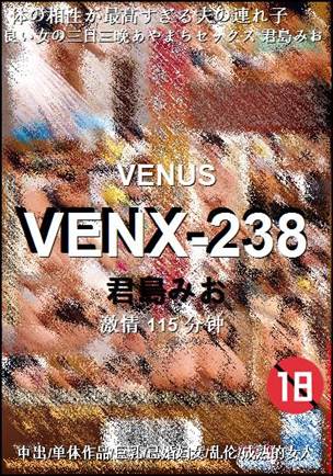 VENX-238115 