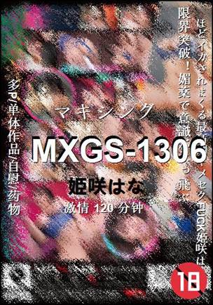 MXGS-1306120 