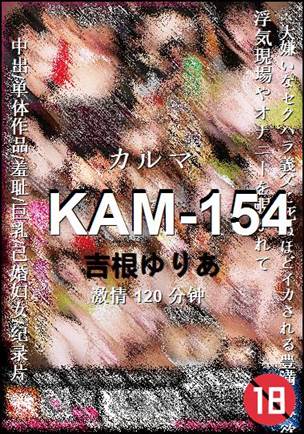 KAM-154120 
