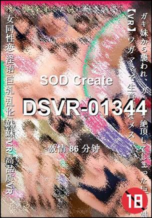 DSVR-0134486 分钟