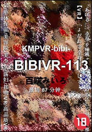 BIBIVR-11387 