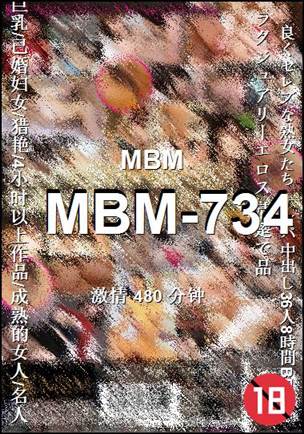 MBM-734480 