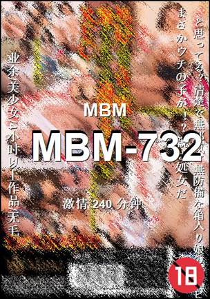 MBM-732240 