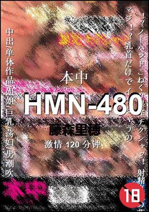 HMN-480120 