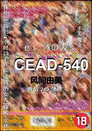 CEAD-540240 