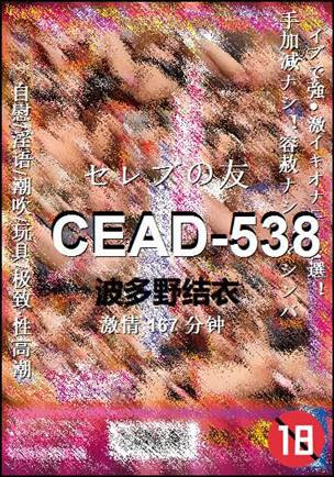 CEAD-538167 分钟