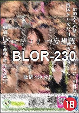 BLOR-230130 