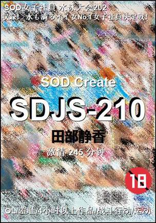 SDJS-210245 