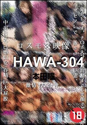 HAWA-304172 