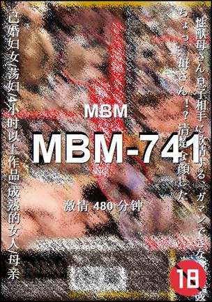 MBM-741480 