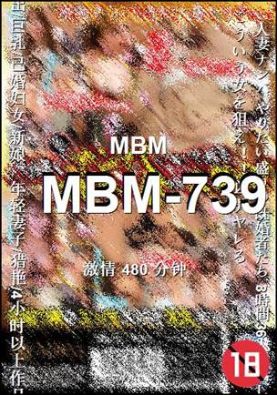 MBM-739480 