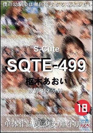 SQTE-499152 分钟