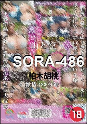 SORA-486133 