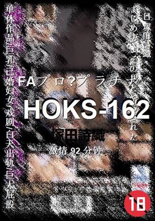 HOKS-16292 