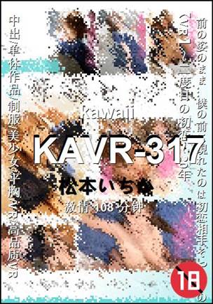 KAVR-317108 