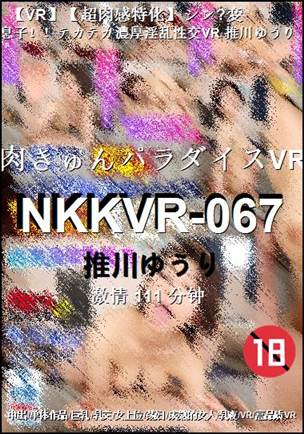 NKKVR-067111 