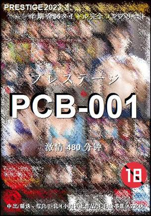 PCB-001480 