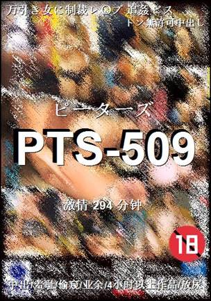 PTS-509294 
