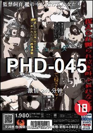 PHD-045240 