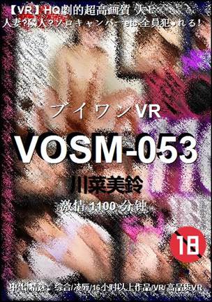 VOSM-0531100 