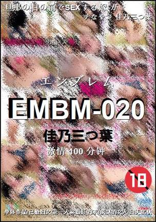 EMBM-020100 
