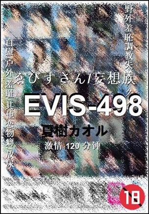 EVIS-498120 