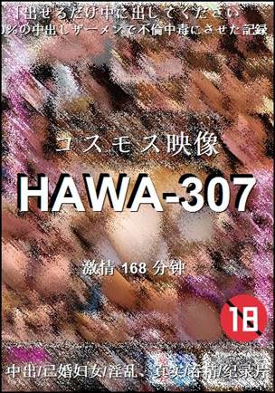 HAWA-307168 