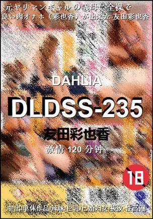 DLDSS-235120 